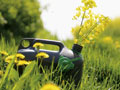 Canola as fuel - oil container with yellow flowers