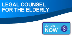 LCE Donate Button