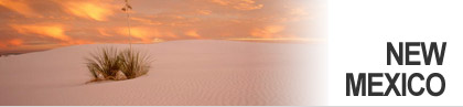 New Mexico Subhead