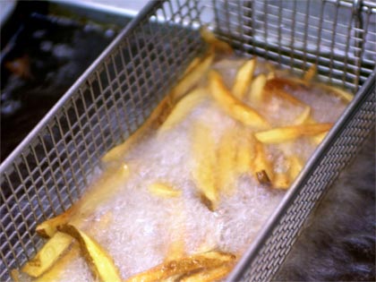 french fries in a fryer french fries in a fryer