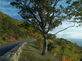 Skyline Drive, Parque Nacional Shenandoah, Virginia