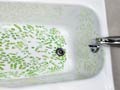 Los gérmenes se se acumulan en la parte inferior y en los bordes de una tina de baño del hotel, en la jabonera  - Gérmenes de hotel