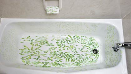 Los gérmenes se se acumulan en la parte inferior y en los bordes de una tina de baño del hotel, en la jabonera  - Gérmenes de hotel