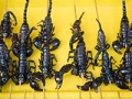 Fried scorpions on a stick, 10 things never to eat on vacation