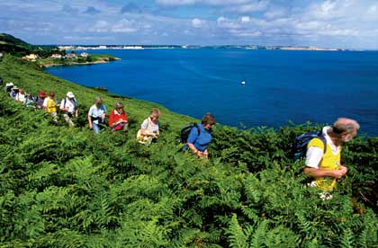 Hiking with the In Crowd - AARP Magazine Hiking with the In Crowd - AARP Magazine