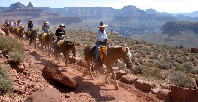 Grand Canyon National Park Vacation, Travel Guide And Tour Information 