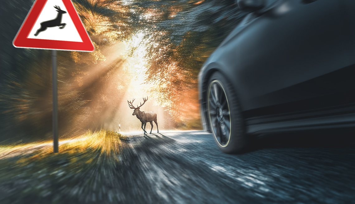 a car races toward a deer near a deer crossing sign