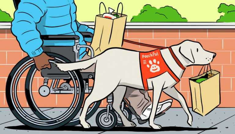 Illustration of person in wheelchair with grocery bag on lap, dog in front carrying another grocery bag