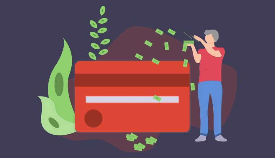 conceptual illustration of a person putting dollar bills towards a large credit card and a growing plant