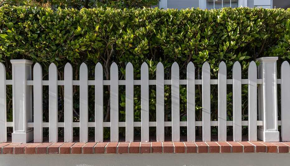 white picket fence behind a short concrete wall with bricks on top; a bush is behind the fence with a house peeking through at the top
