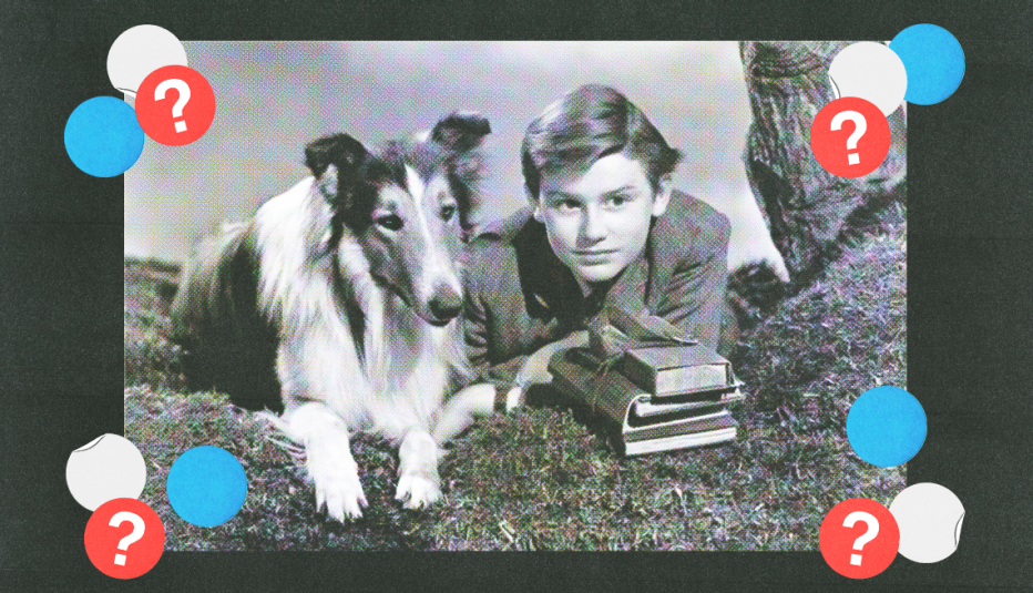 pal the dog as lassie and roddy mcdowall as joe carraclough in a still from lassie come home; white, blue and red circles with question marks surround them