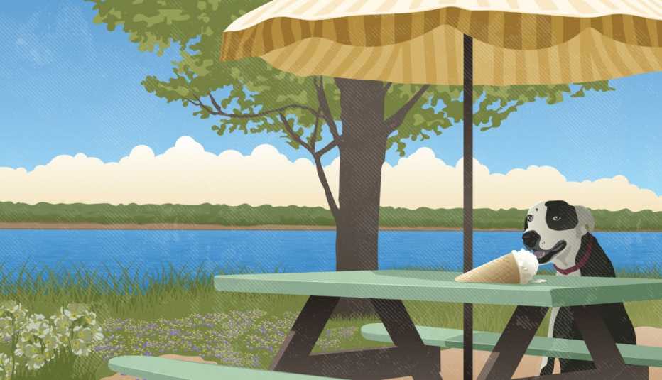 illustration of daisy the dog sitting at picnic table near body of water eating ice cream