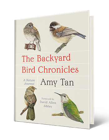 Book cover with words The Backyard Bird Chronicles, A Nature Journal, Amy Tan, Foreword by David Allen Sibley; pictures of birds on cover