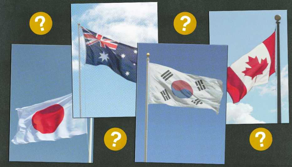 collage of flags from south korea, japan, canada and australia surrounded by gold circles with question marks in them