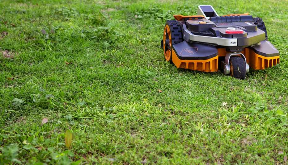 Lawnbot on the grass