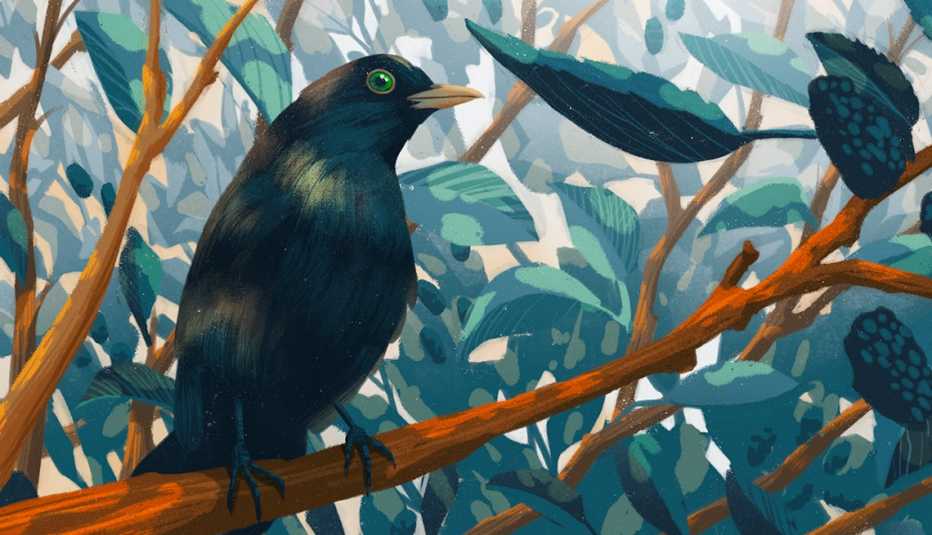 illustration of blackbird sitting on tree branch