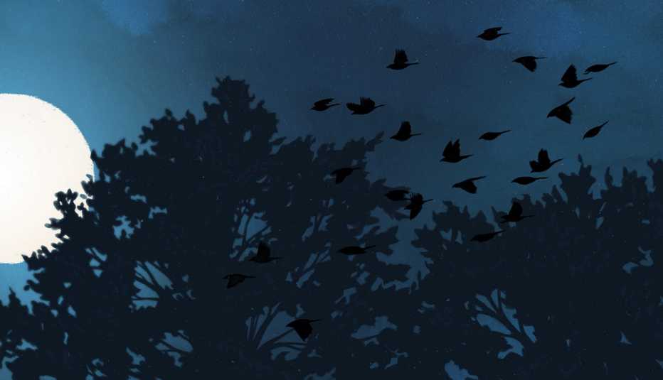 illustration of blackbirds soaring in the blue sky; some landing on trees