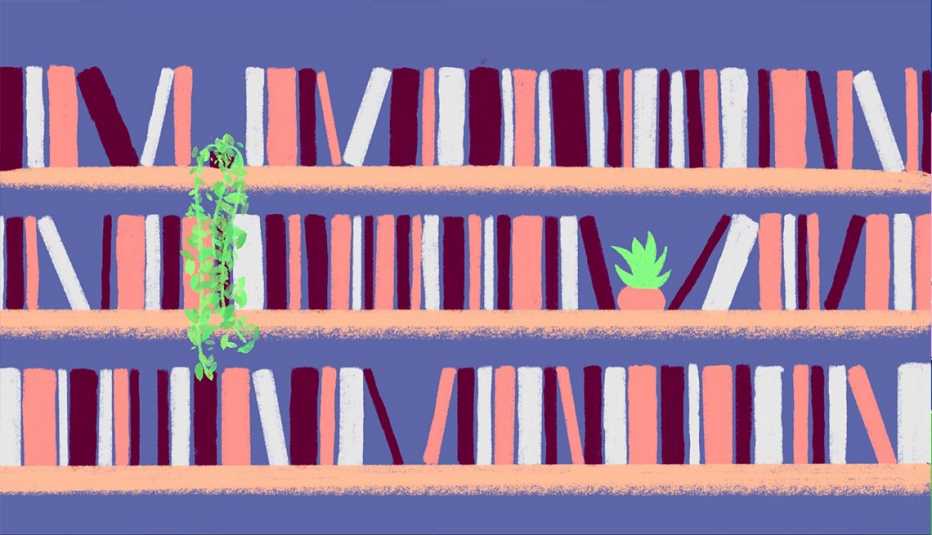 illustration of three bookshelves with two plants