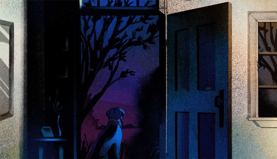a dog sitting in a doorway, looking outside into a dark garden