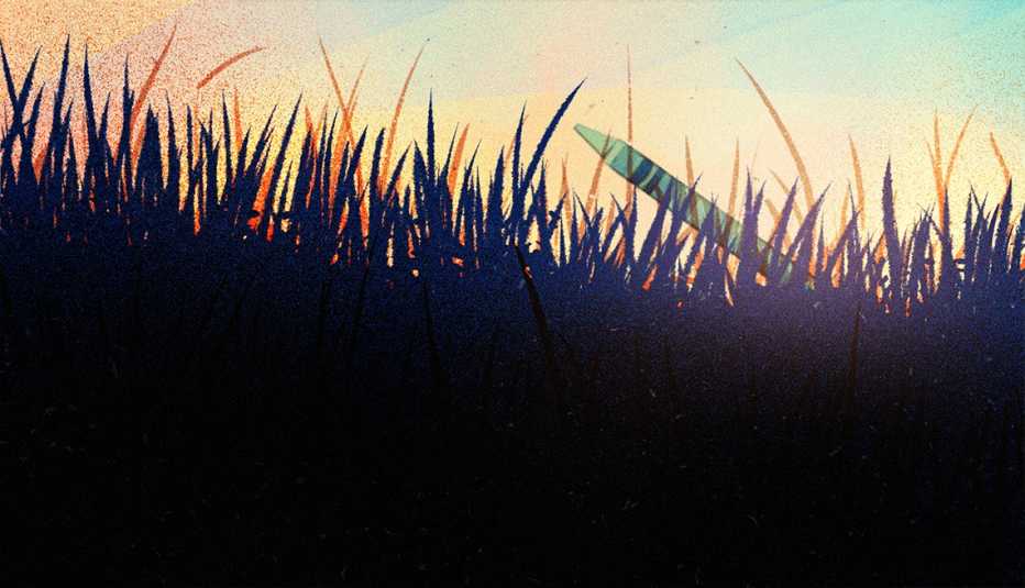 illustration of pale green crayon lying in the grass