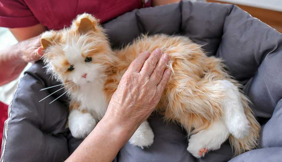 an older hand strokes the fur of a robotic cat that is placed in a cat bed