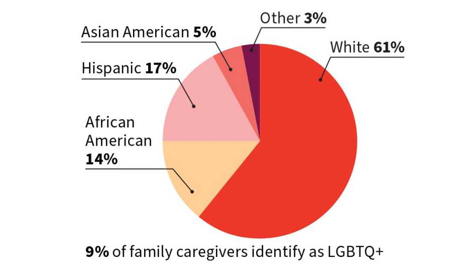 pie chart showing racial diversity of surveyed caregivers. 58% are white, 17% Hispanic, 14% African American, 5% Asian American, and 3% Other. 9% identify as LGBTQ+