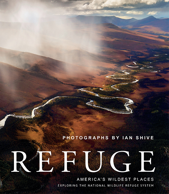 Refuge book cover