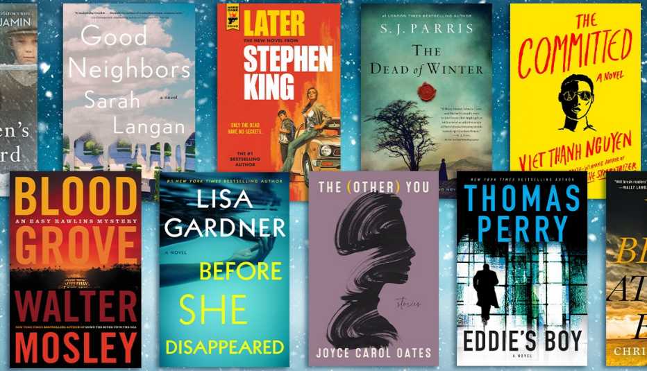 collection of new fiction books for winter