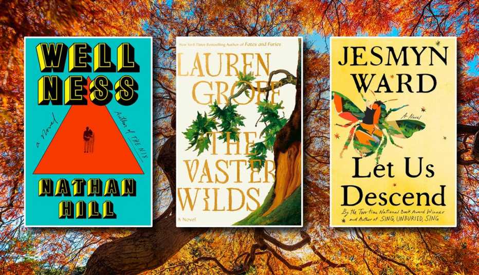 from left to right book covers wellness by nathan hill then the vaster wilds by lauren groff then let us descend by jesmyn ward