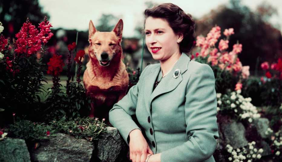 queen elizabeth the second at balmoral castle with her corgi nineteen fifty two