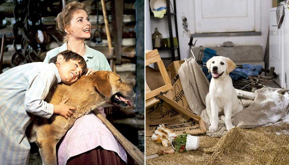 characters from old yeller holding the dog and the puppy from marley and me sitting in a messy home