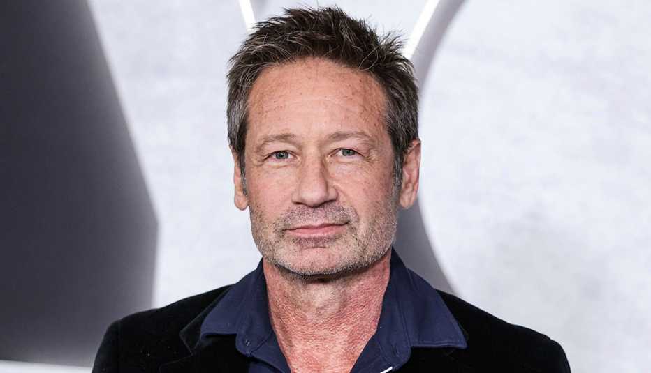 David Duchovny at the Los Angeles Premiere of You People held at the Regency Village Theatre in Los Angeles