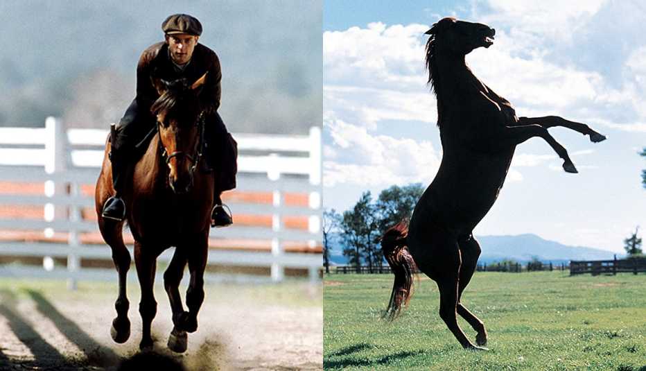 Tobey Maguire riding a horse in the film Seabiscuit and a horse on its hind legs in The Horse Whisperer