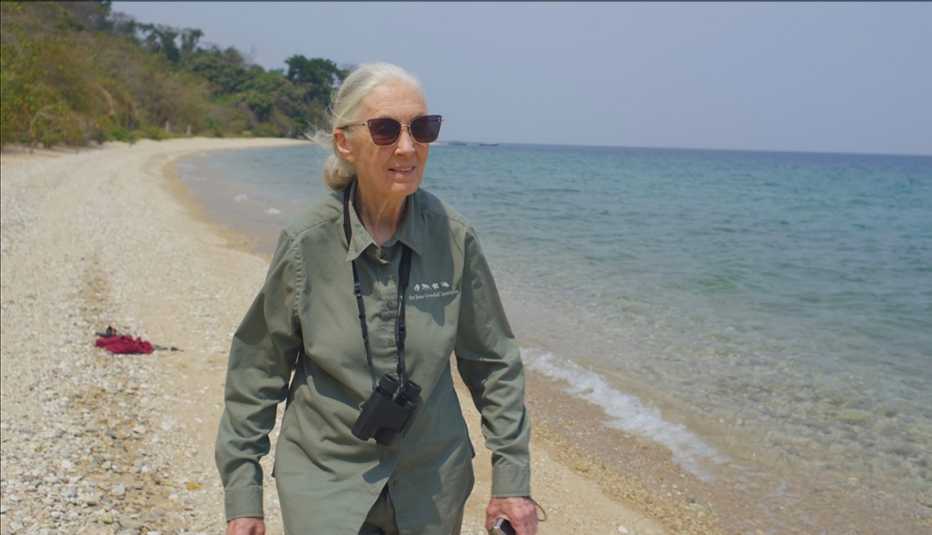 Doctor Jane Goodall walking along the beach of Lake Tanganyika in Africa