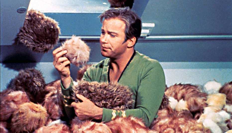 william shatner on the star trek episode the trouble with tribbles