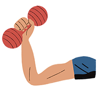 illustration of an arm with muscles lifting a dumbbell
