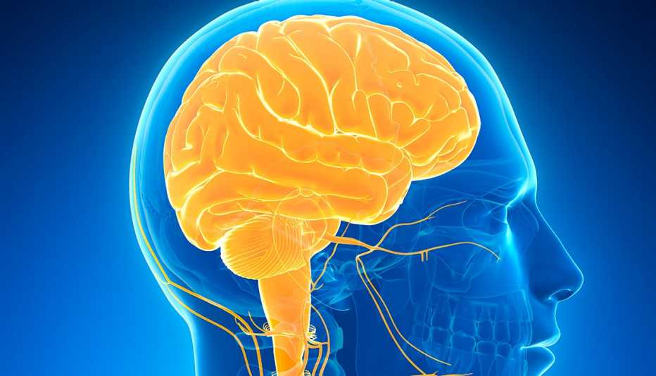 illustration of the human brain highlighted in gold against an all blue background