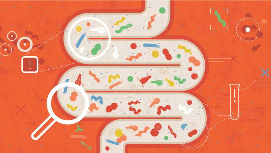 cartoon of a human intestine with gut bacteria 