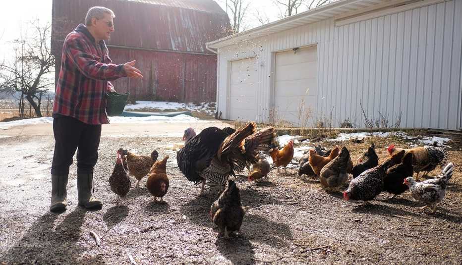 a man in a red plaid shirt feed a small group of chickens on farm grounds in winter