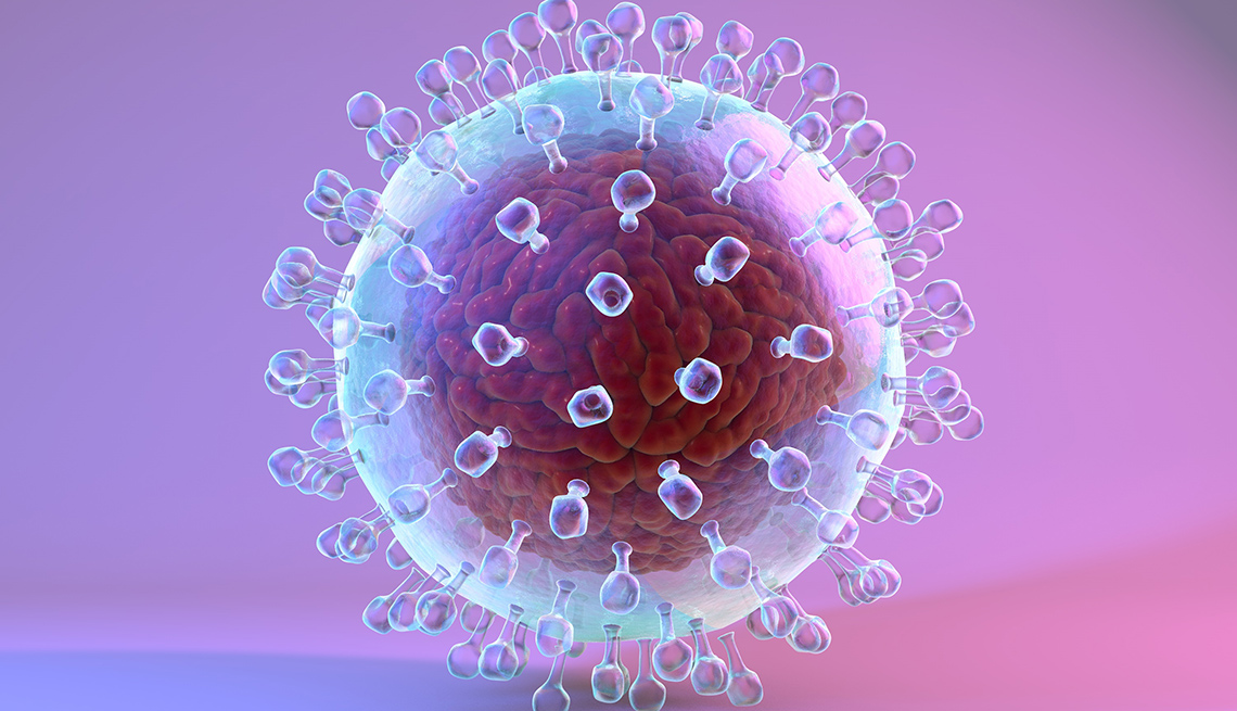 Hepatitis C microbe model