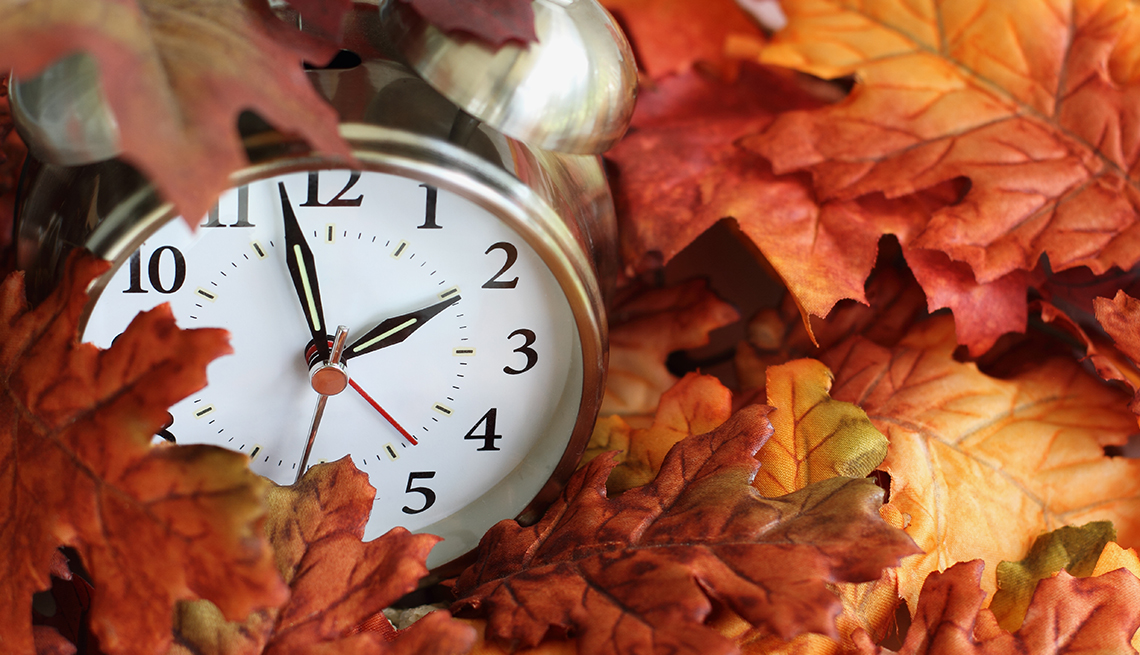 alarm clock in leaves