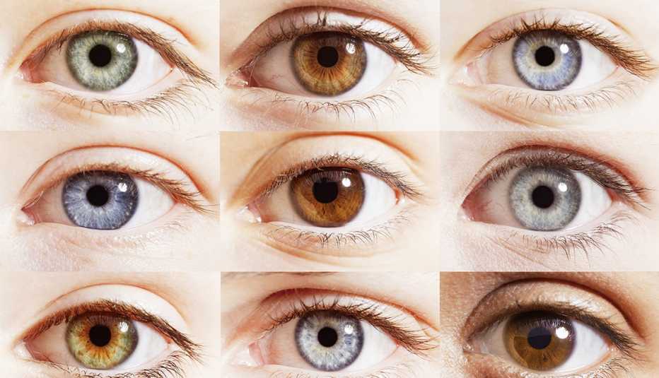 collage of close ups of 9 different color eyes 