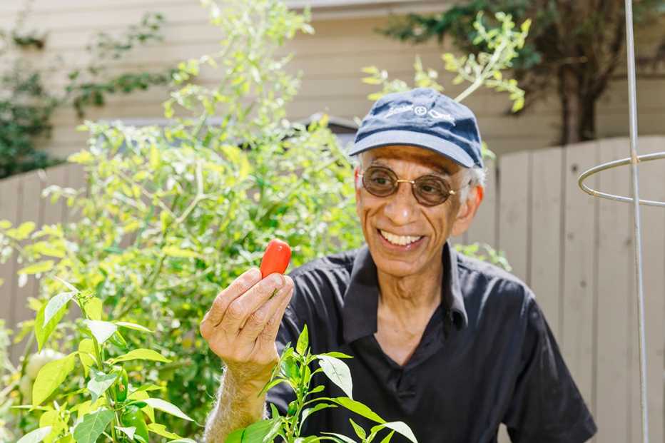 akil taherbhai holding up a small red pepper in his garden