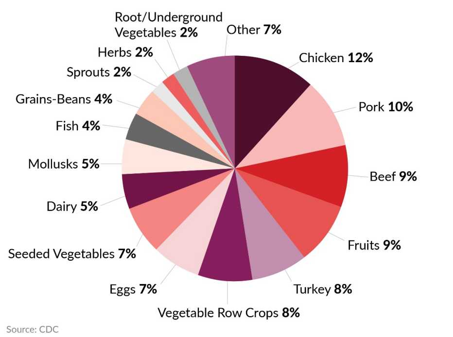 a pie chart breaking down foods that cause food poisoning by percent with chicken the highest at twelve percent followed by pork at ten percent and beef at nine percent