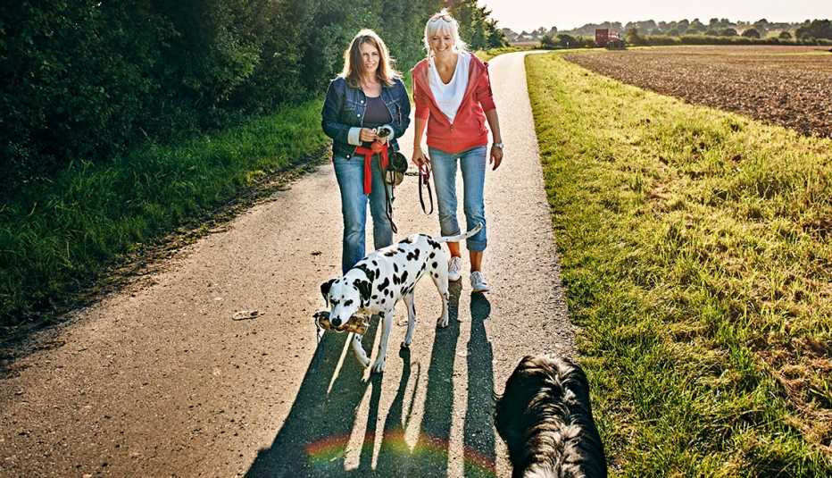 Two mature woman walking their dogs