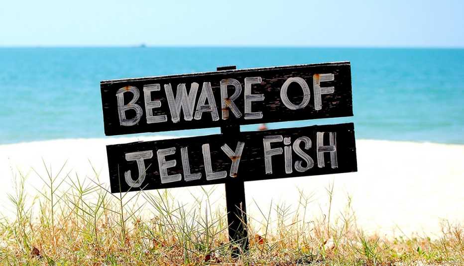sign on a sand dune at the beach that reads beware of jellyfish