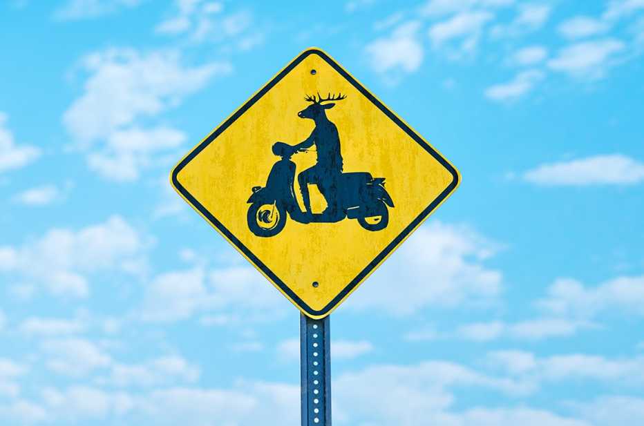 yellow caution road sign showing a deer riding a motor scooter
