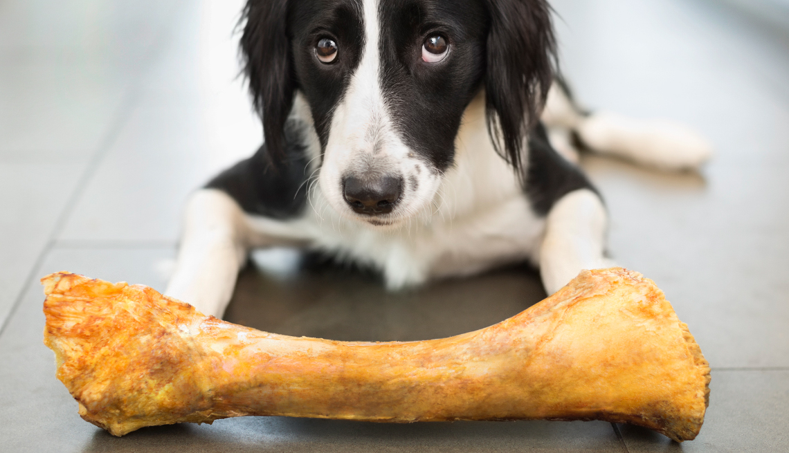 FDA Warns About Dangerous Dog Bones