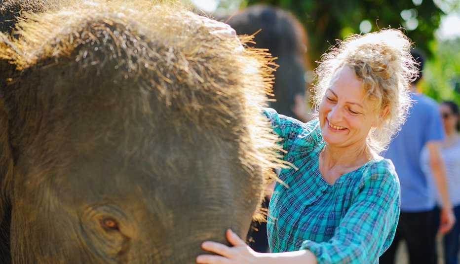 A woman pets a baby elephant