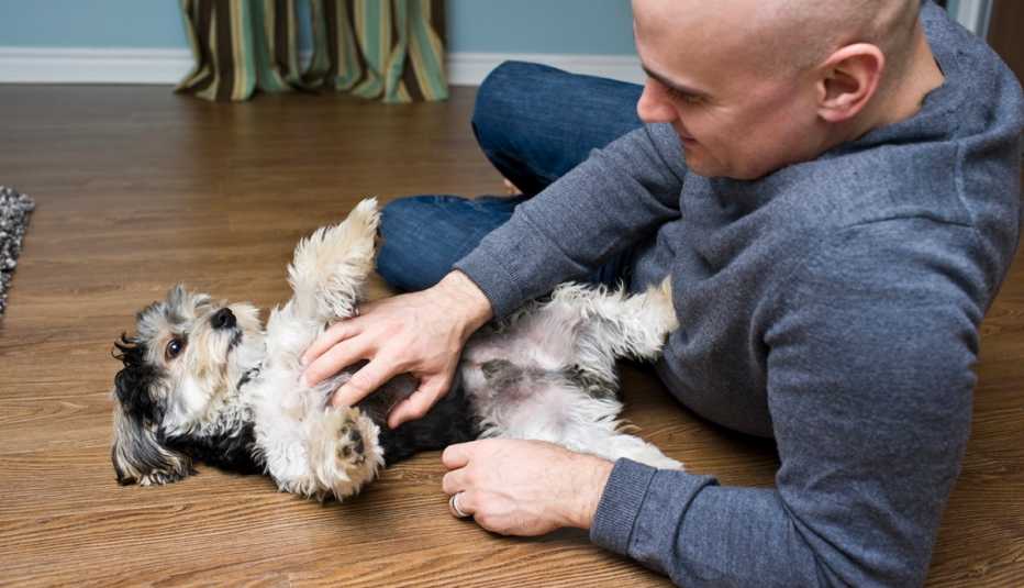 man petting the stomach of a dog who rolled over